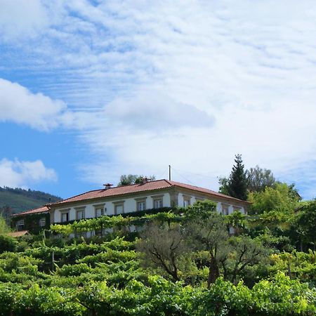 Casa Da Varzea Ponte de Lima Dış mekan fotoğraf