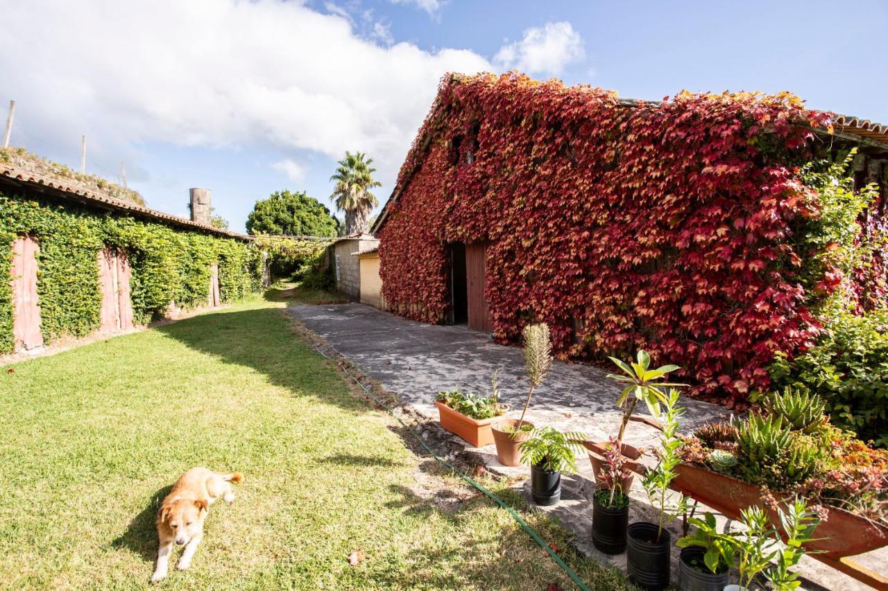 Casa Da Varzea Ponte de Lima Dış mekan fotoğraf